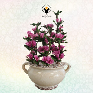 آزالیا
