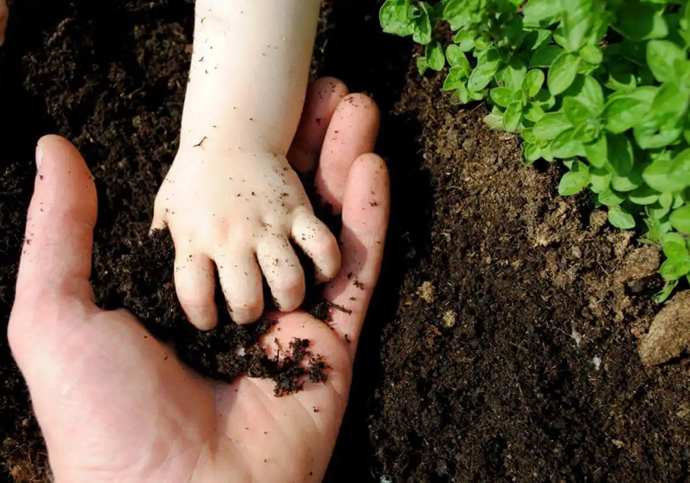 Soil-Img