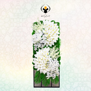 ارکیده-شب-بو