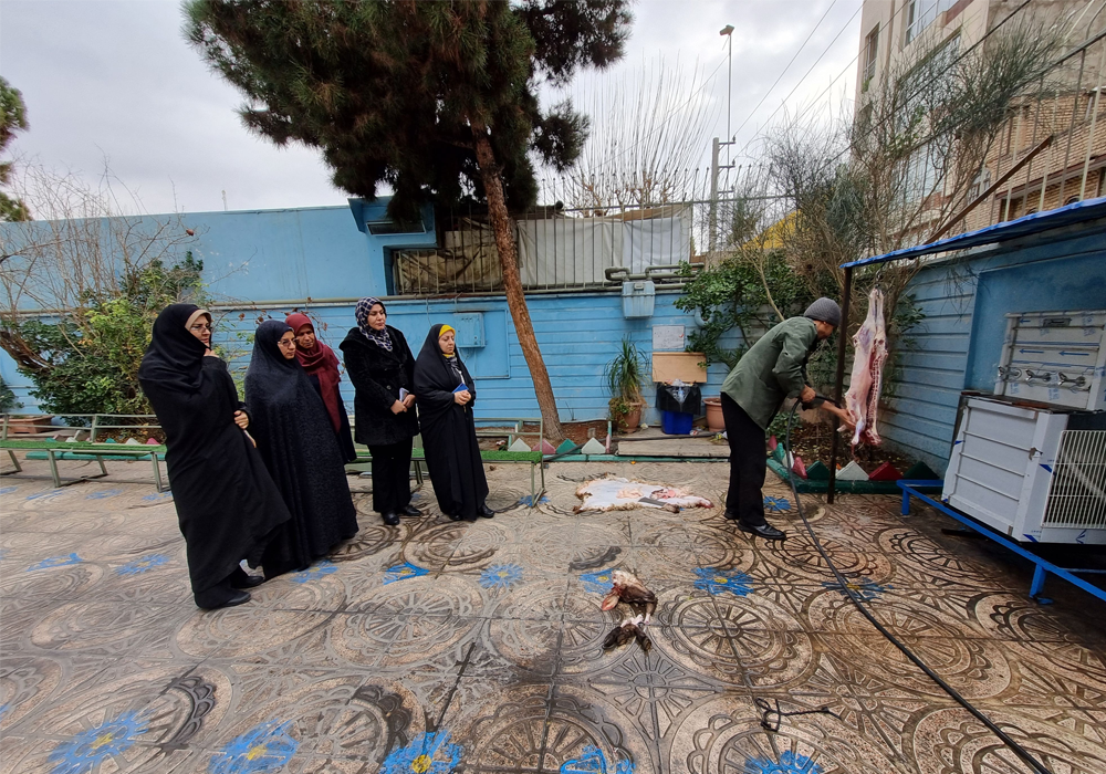 Untitled-2-Recovered