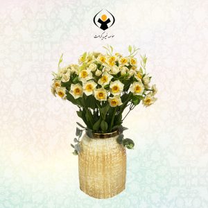 نرگس 3