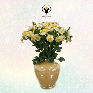 نرگس-4