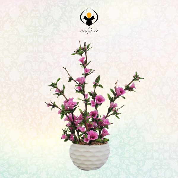 گل آزالیا _ کد 2
