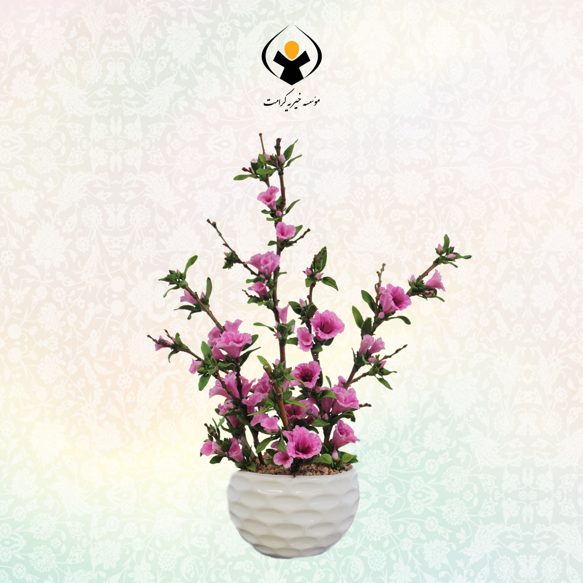 گل آزالیا _ کد 2