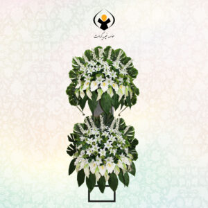 تاج گل آنتاریوم