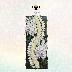 تاج-گل-داوودی